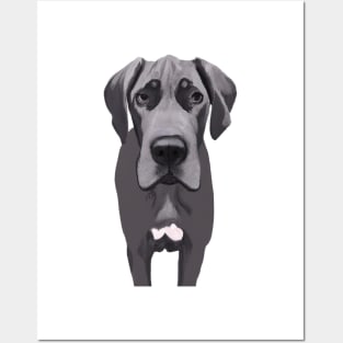 Cute Great Dane Drawing Posters and Art
